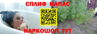 гашик Нягань