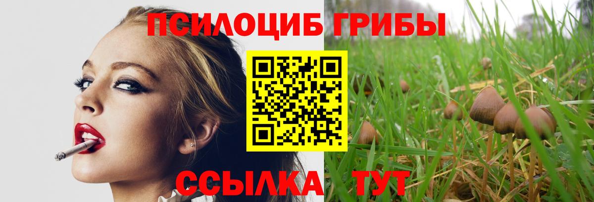 купить наркотики сайты  Галлюциногенные грибы Psilocybine cubensis  Вход с VPN  Псилоцибиновые грибы ЛСД  Серов 